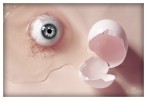 titula-foto-huevo-ojo