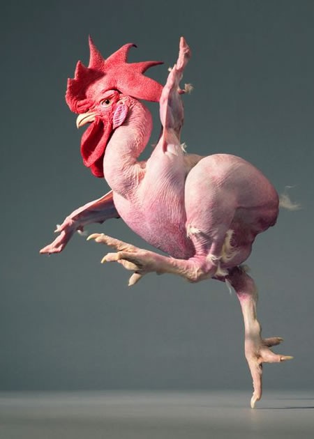Titula esta foto IX